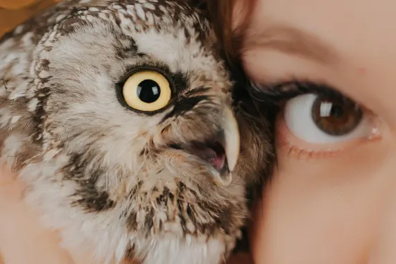 טייואסקיי קזינו תמיכה